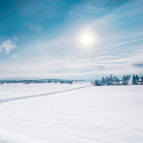 Aussicht im Winter von der Macardo Swiss Distillery